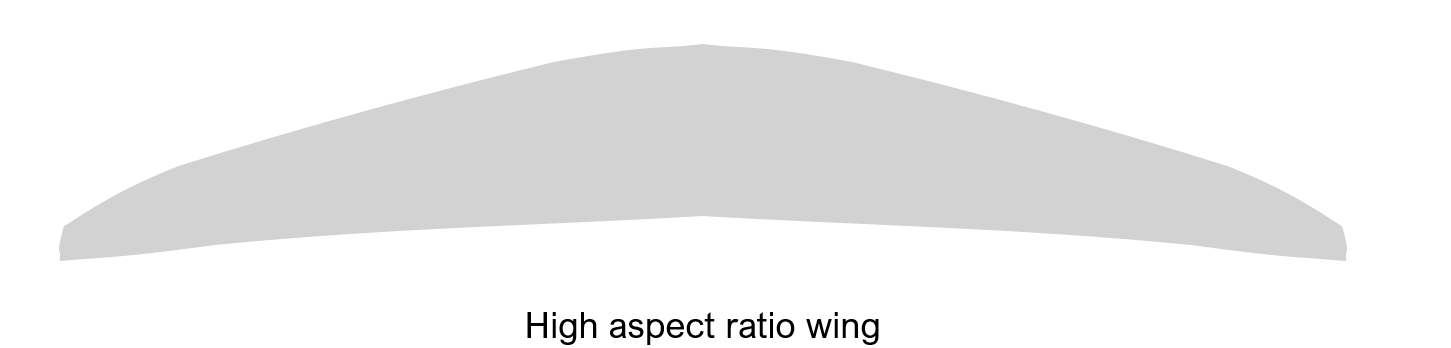 High Aspect Ratio Wing