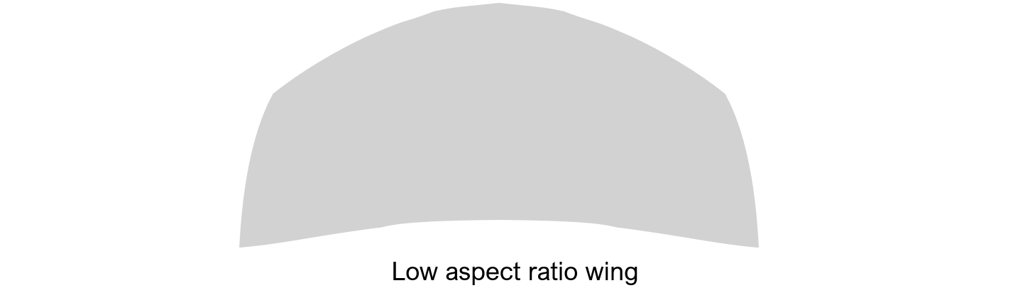 High Aspect Ratio Wing