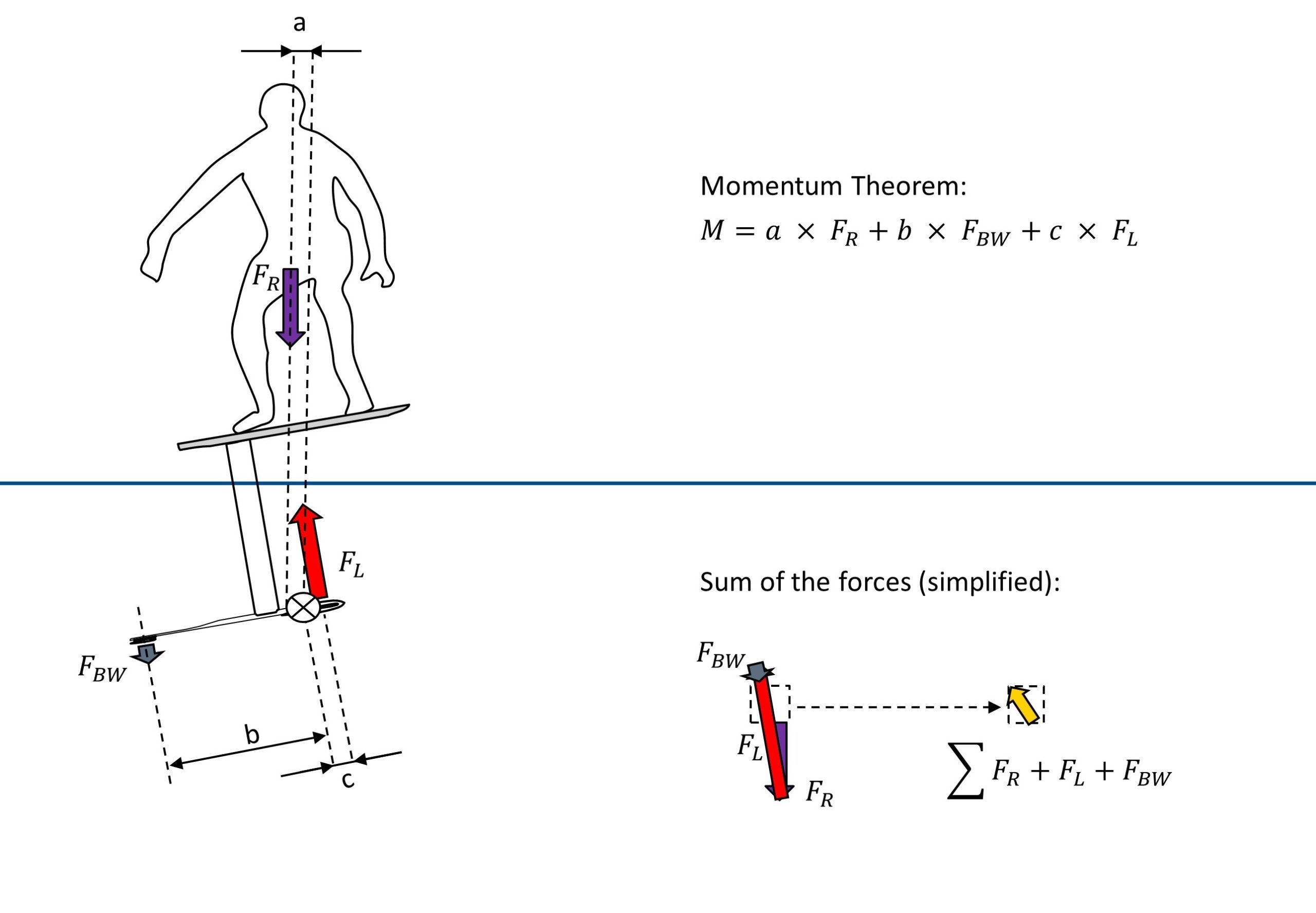 Forces and Torsional Moment