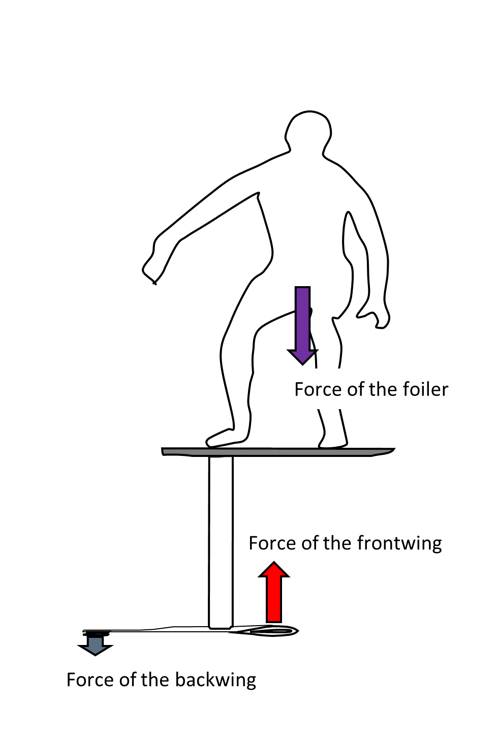 Force of the backwing, frontwing and the foiler