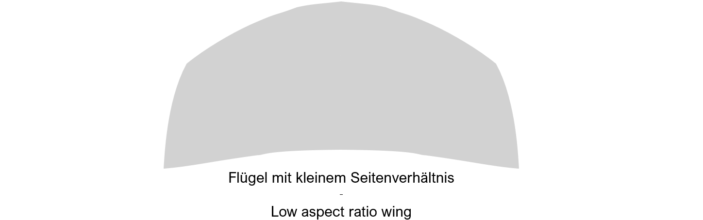 Low Aspect Ratio Wing - Flügel mit kleiner Flügelstreckung